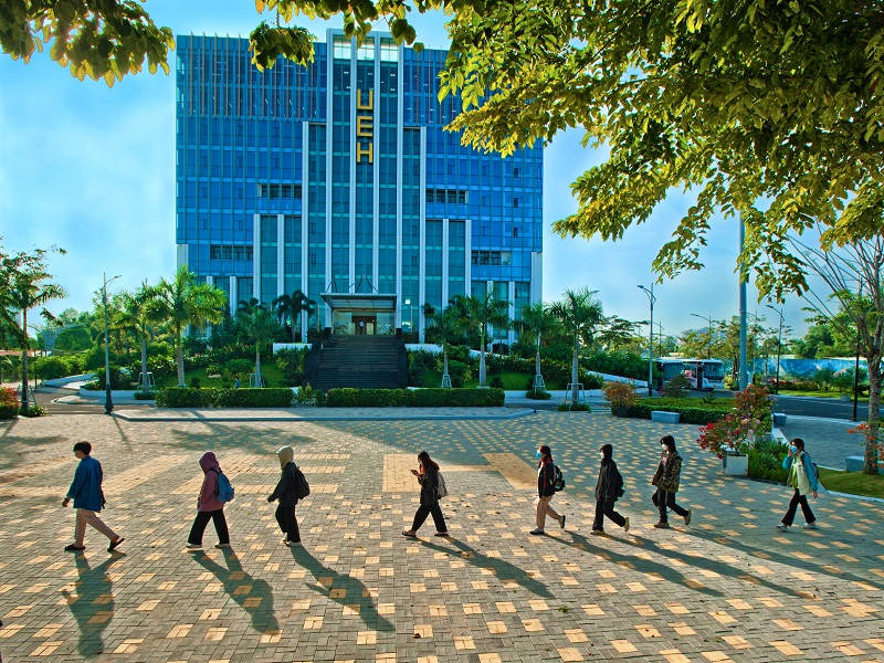 cá cược thể thao hul city